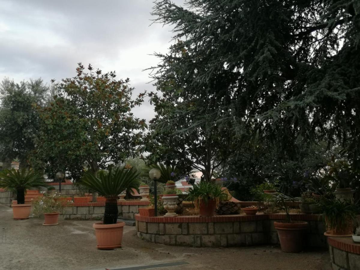Villa Giannina Massa Lubrense Dış mekan fotoğraf