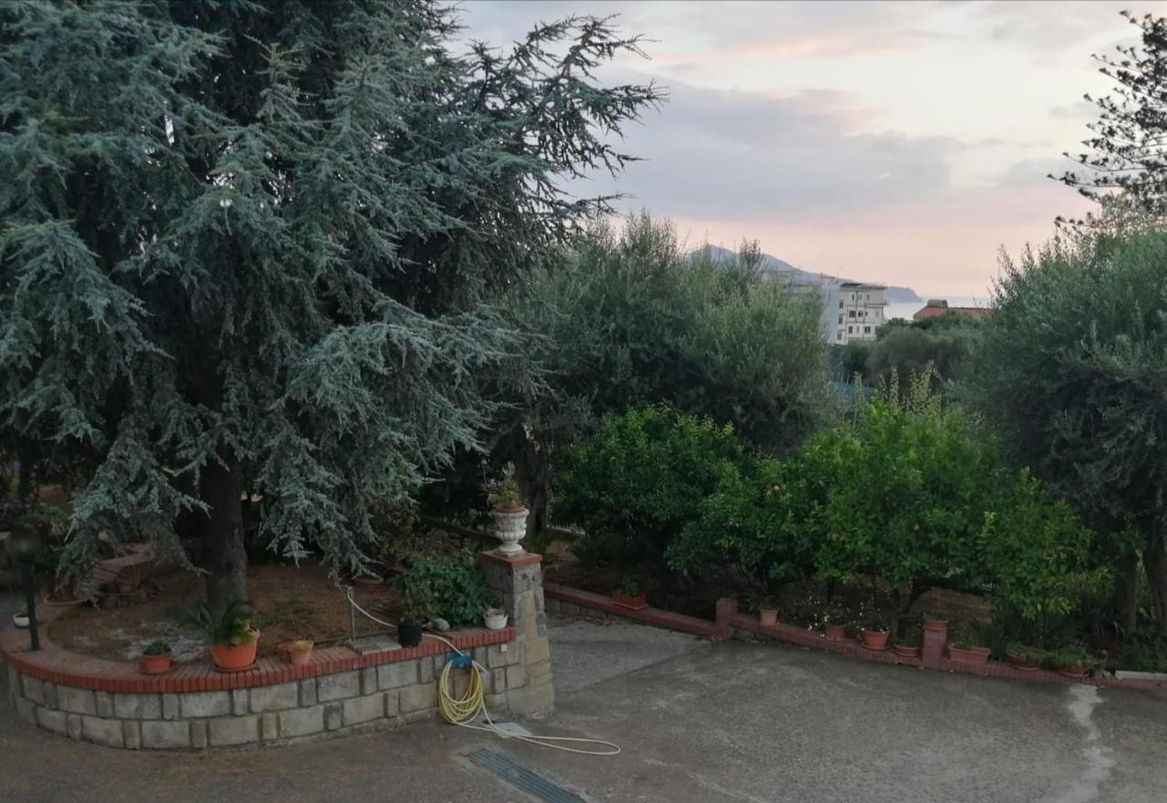 Villa Giannina Massa Lubrense Dış mekan fotoğraf